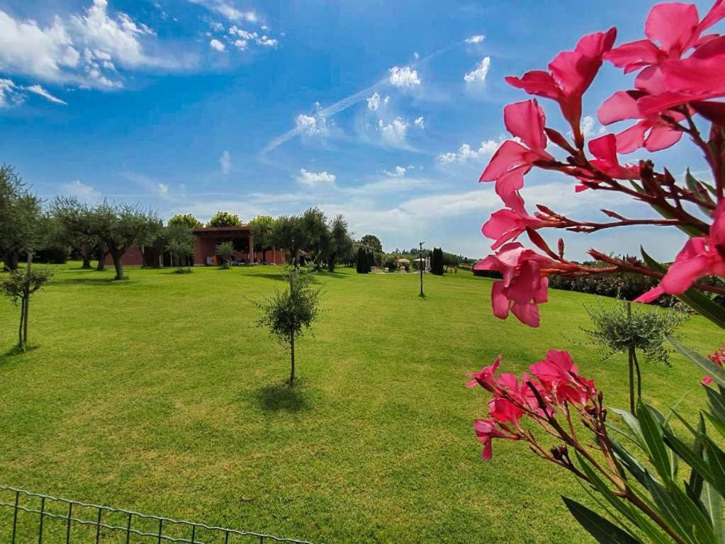 Villa Claudia Bardolino Kültér fotó